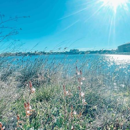 La Casita ,Appartement Face A L'Etang Ле-Баркарес Екстер'єр фото
