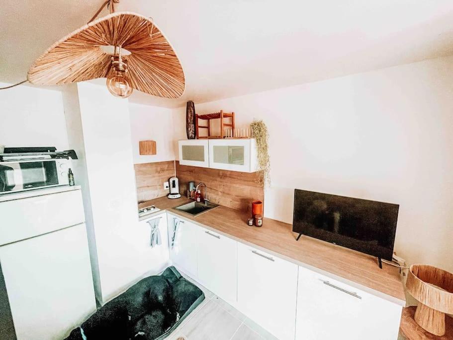 La Casita ,Appartement Face A L'Etang Ле-Баркарес Екстер'єр фото